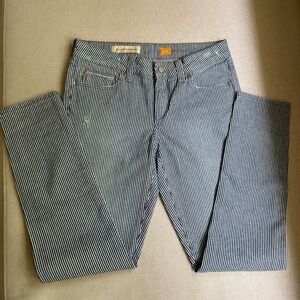 Anthropologie PILCRO Striped Low Rise Skinny Jeans Size 27